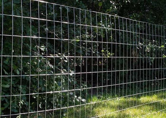 Ζυγισμένα τυλιγμένα φράχτες από συγκολλημένο σύρμα με μέγεθος πλέγματος 2 × 4