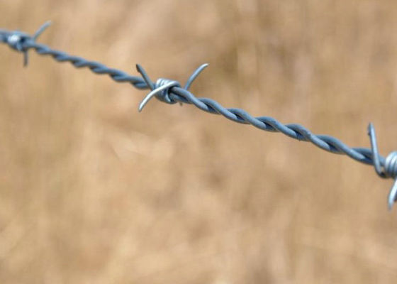 διπλή συστροφή 1.4mm 2mm οδοντωτή - γαλβανισμένη καλώδιο επιφάνεια