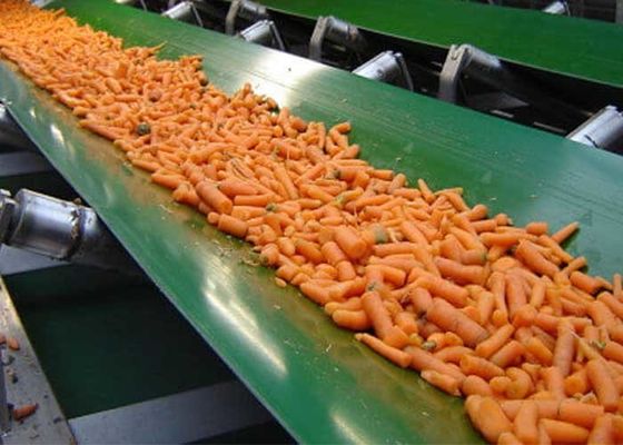 Πράσινη ταινία μεταφοράς PVC πάχος 2 - 13 mm