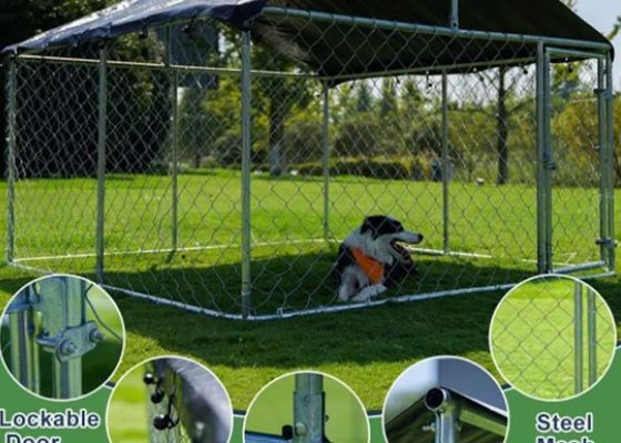 Chain Link Dog Kennel Is Removable And Portable To Various Places