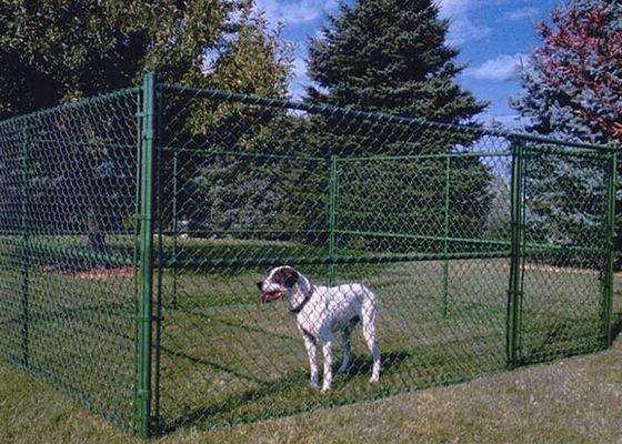 Chain Link Dog Kennel Is Removable And Portable To Various Places